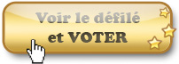 /static/i18n/fr/modules/election/img/forum/btn-election.i18n.jpg