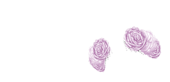 /static/product/5/873/174439~1438675192.png